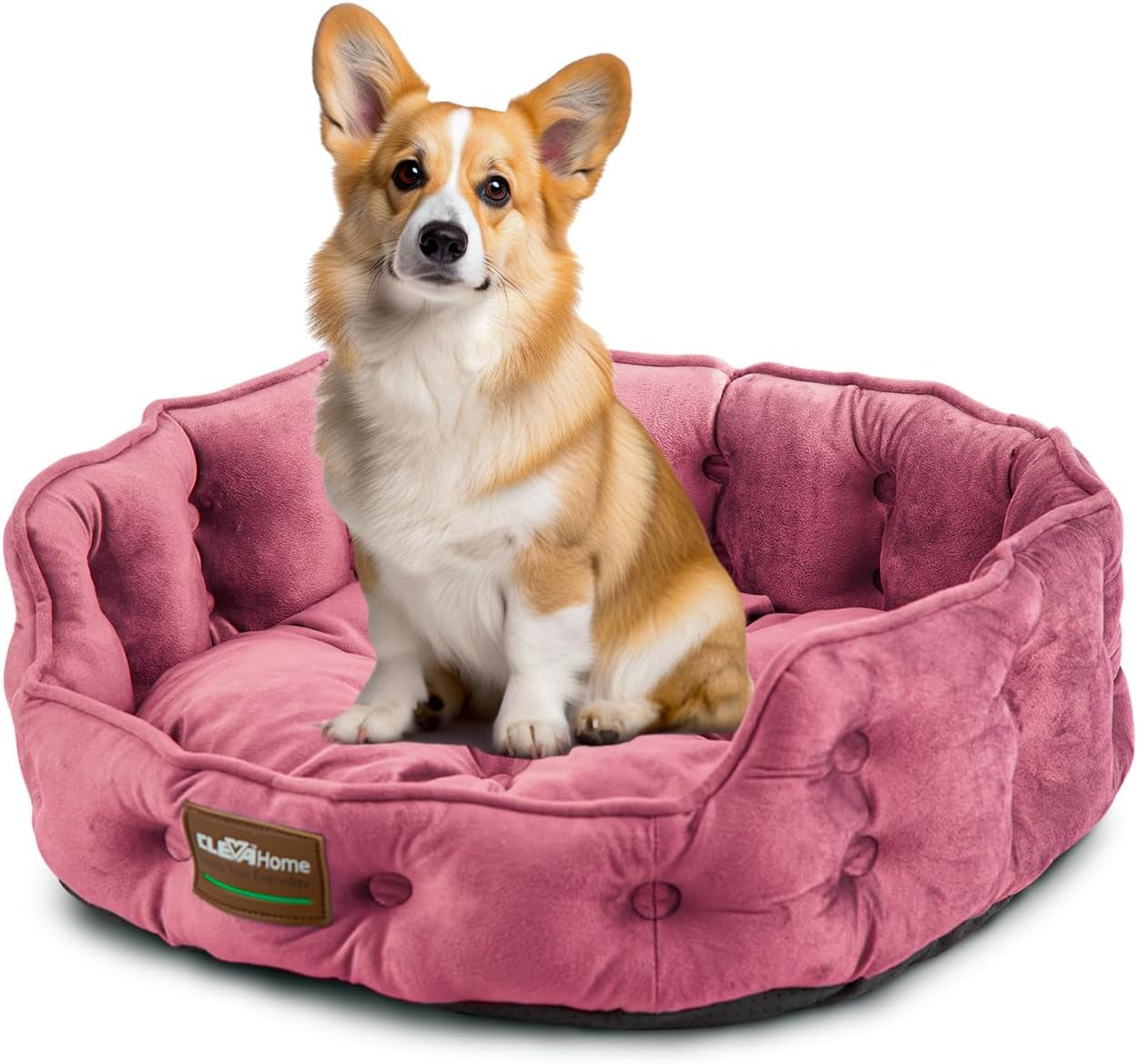Paturi & Canapele, Pături & Mobilier, Animale de companie, Pisici, Paturi pentru pisici, Pisici - culcusuri, saltele