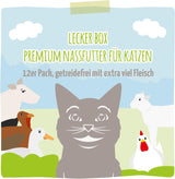 MjAMjAM - Hrană umedă premium pentru pisici - cutie delicioasă, pachet de 12 (12 x 200 g), fără cereale cu carne suplimentară