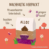 Allos Hof Granola cu fructe de pădure | Muesli organic | Muesli cu fructe de pădure | Muesli crocant | Cereale pentru micul dejun | Pachet de 6 (6 x 300g), 1 bucată (pachet de 6)