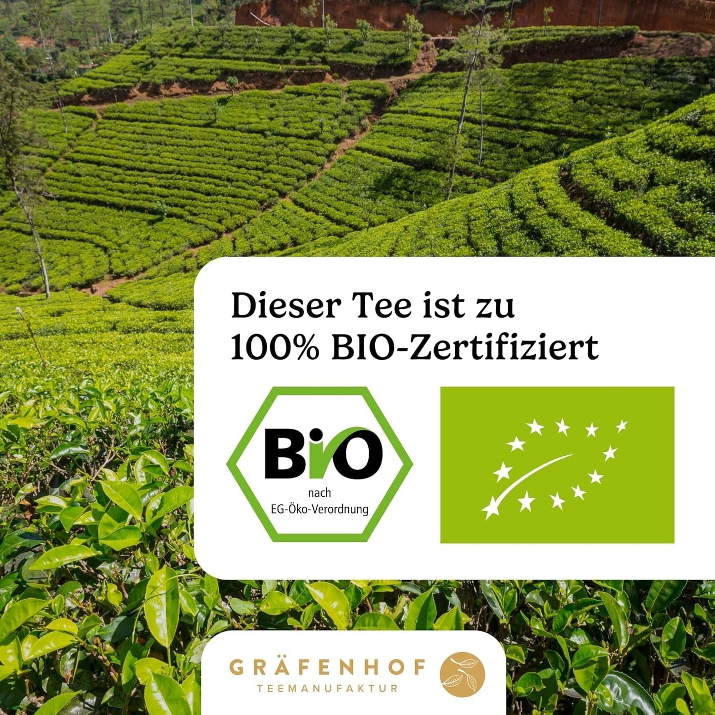 Ceai Yerba Mate Bio, originalul, 1 kg ceai mate vrac, conținut ridicat de cofeină, neprăjit, uscat la aer, analizat în laborator, frunze de mate ambalate în Germania, calitate premium Gräfenhof