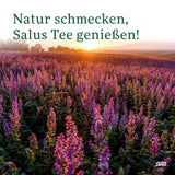 Salus - Ceai de măceșe și malva - 1X 15 pliculețe filtru (45 g) - Ceai de fructe - Compoziție din măceșe și flori de hibiscus african - Răcoritor - Bio