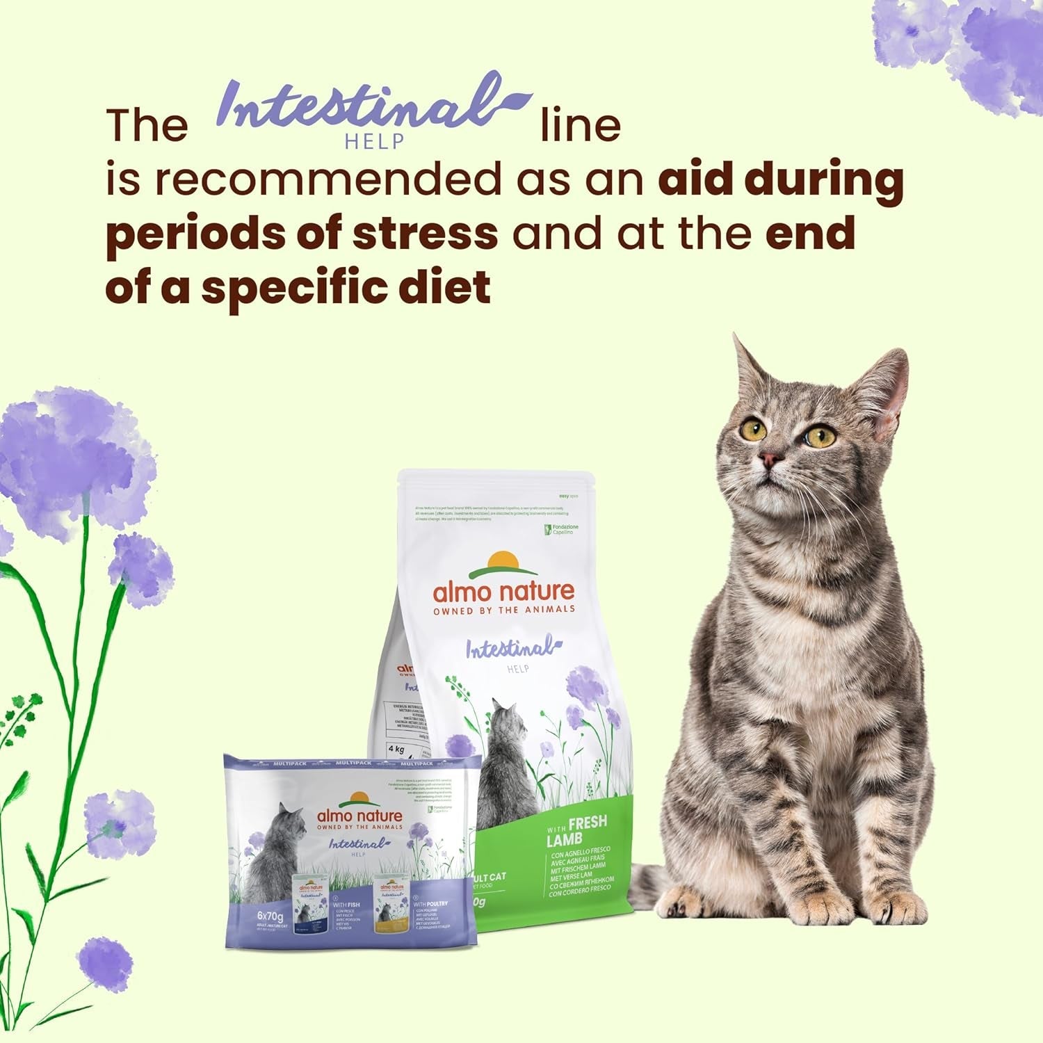 Almo Nature Functional - Intestinal Help - Hrană umedă pentru pisici adulte și mature cu intestine sensibile - cu carne de pasăre - susține microbiomul - 70 g (pachet de 30)