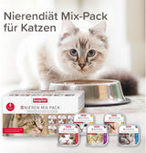 BEAPHAR – Pachet Mixt Dietă Renală – Hrană completă pentru pisici cu insuficiență renală cronică – Pentru susținerea funcției renale – 6 x 100 g
