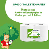 Role de hârtie igienică Jumbo Eco, 2 straturi, cremă de spălare a mâinilor cu formulă de curățare, hidratare și netezire - aromă florală - 5L, 6 bucăți (1-pachet)