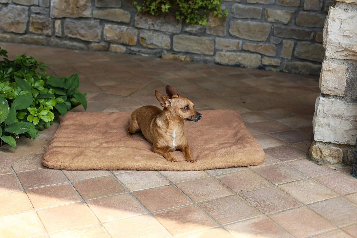 Sogni E Capricci Super Soft Mat, Cream, 104X75CM, Poliester, Plapumi si pilote Naty Shop Maro 62X50Cm