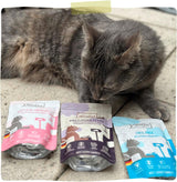 MjAMjAM - Hrană umedă premium pentru pisici - cutie delicioasă, pachet de 12 (12 x 200 g), fără cereale cu carne suplimentară