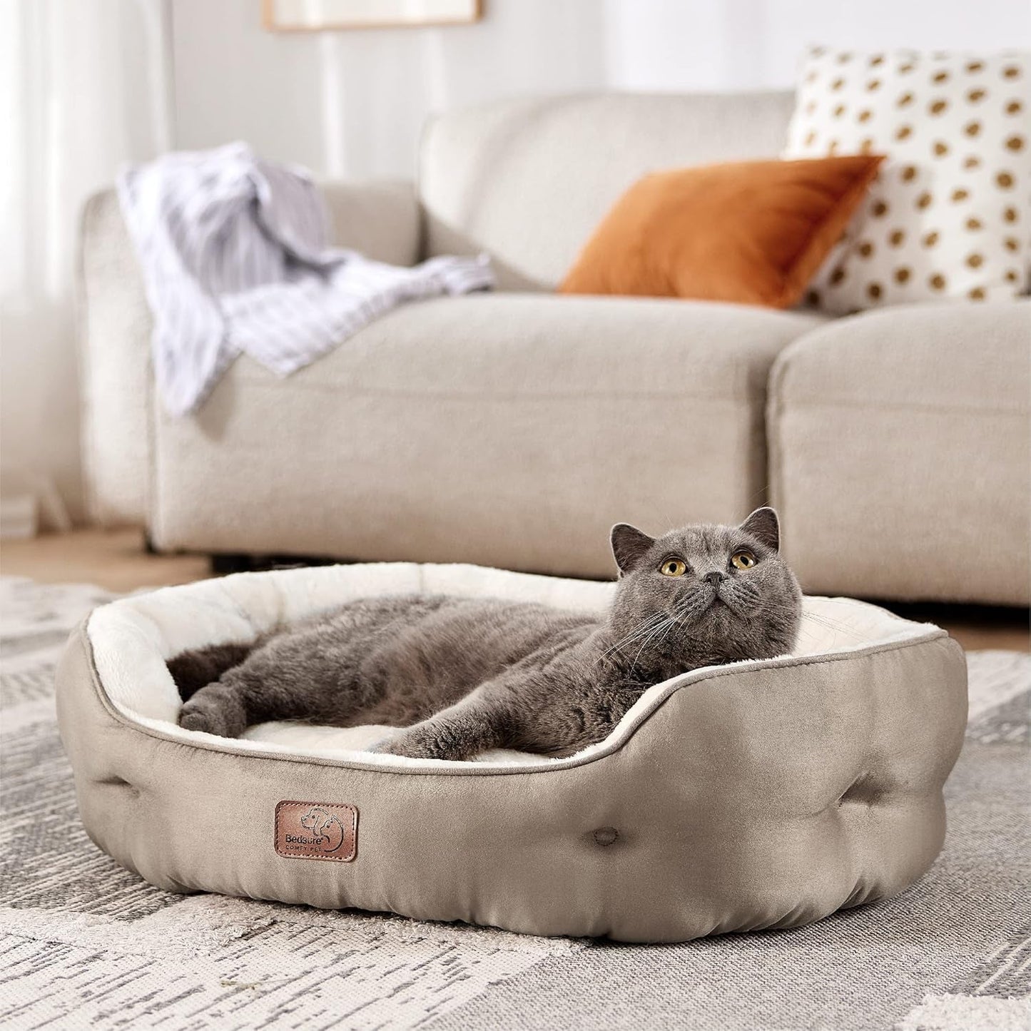 Paturi & Canapele, Pături & Mobilier, Animale de companie, Pisici, Paturi pentru pisici, Pisici - culcusuri, saltele