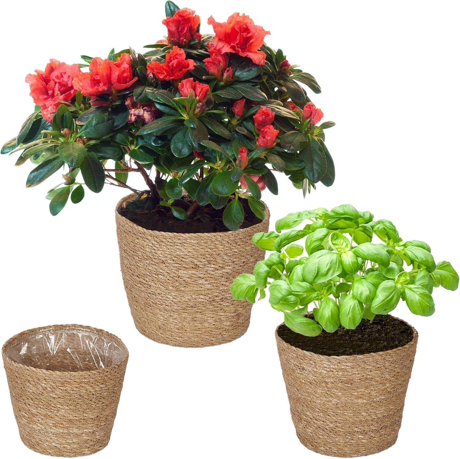 Ghiveci de flori Relaxdays din iarbă de mare, set de 3, rotund, pentru flori și ierburi, coș de plante cu folie, 3 dimensiuni, jardinieră, naturală