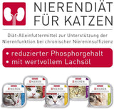 BEAPHAR – Dietă renală cu pui – Hrană completă pentru pisici cu insuficiență renală cronică – Pentru susținerea funcției renale – 100 g