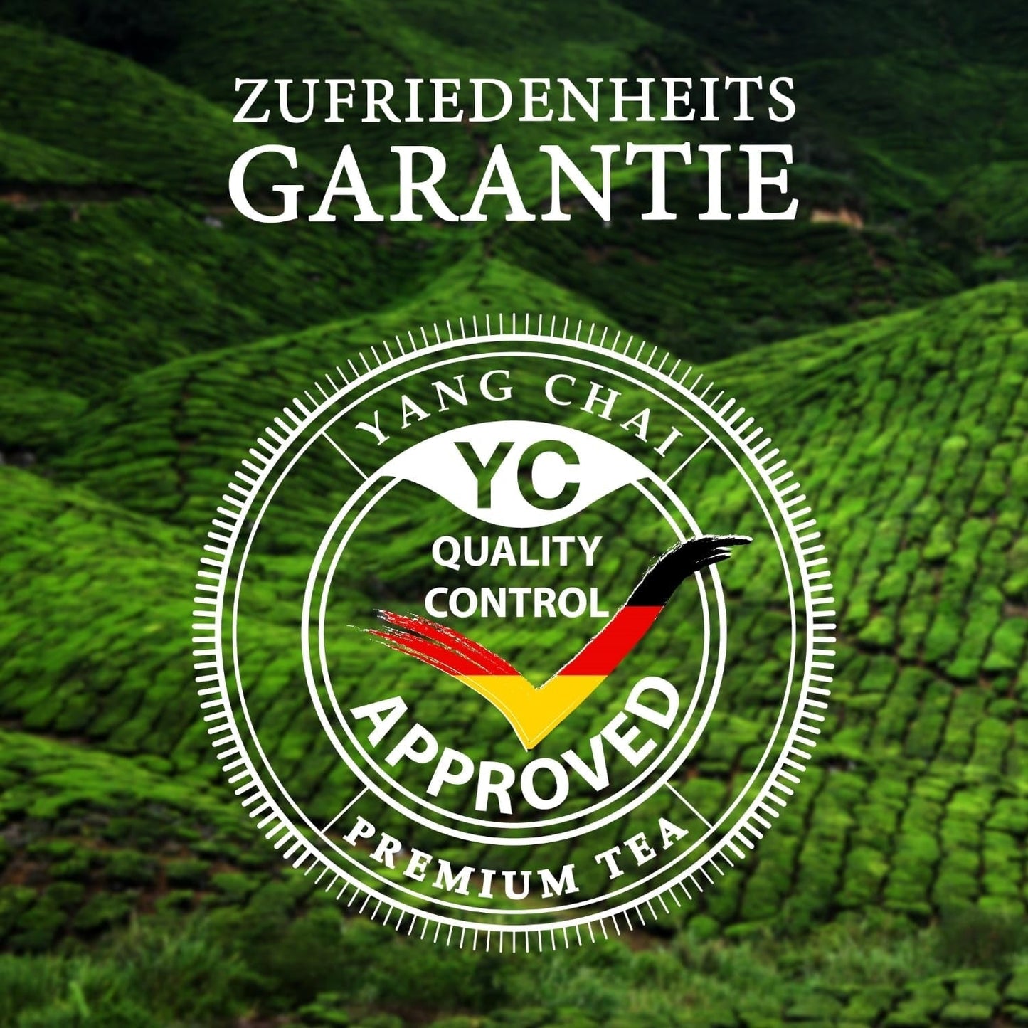 YC Yang Chai Sencha Ceai verde BIO 250G - Ceai japonez vrac cu aromă de bergamotă - Ceai verde japonez original „Sencha Dynasty” din culturi ecologice controlate