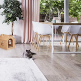 Pături & Mobilier, Animale de companie, Peșteri & Case, Pisici, Paturi pentru pisici, Pisici - culcusuri, saltele