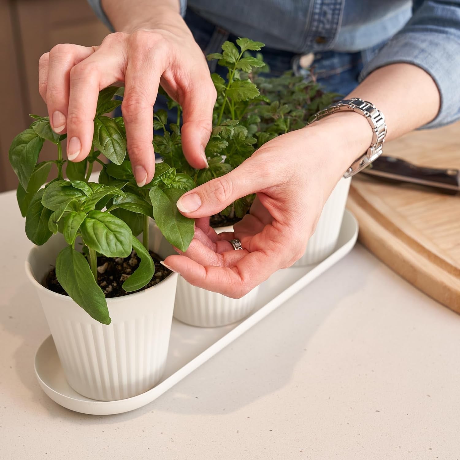Set de 3 ghivece frumoase pentru grădină de plante aromatice, perfecte pentru orice pervaz sau blat de bucătărie, un set modern de ghivece decorative pentru grădină, inclusiv tavă și...