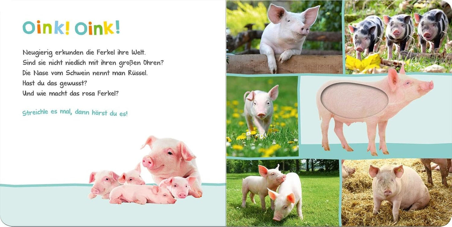 Ascultă, cine ar putea fi? - Animale de fermă: mângâie și ascultă | Carte ilustrată din carton de înaltă calitate cu 5 sunete și elemente tactile pentru copii cu vârsta de peste 18 luni Jucarii Bebe Naty Shop
