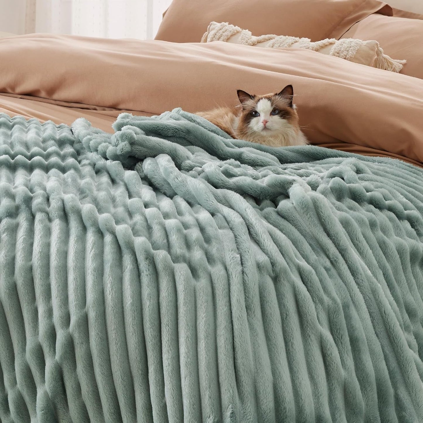 BEDSURE Sage Green Fleece Throw Blanket pentru canapea - pături confortabile super moi pentru femei, pătură mică drăguță pentru fete, 127 X 152 Cm Paturi si Cuverturi Besuche den BEDSURE-Store