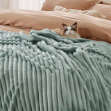 BEDSURE Sage Green Fleece Throw Blanket pentru canapea - pături confortabile super moi pentru femei, pătură mică drăguță pentru fete, 127 X 152 Cm Paturi si Cuverturi Besuche den BEDSURE-Store