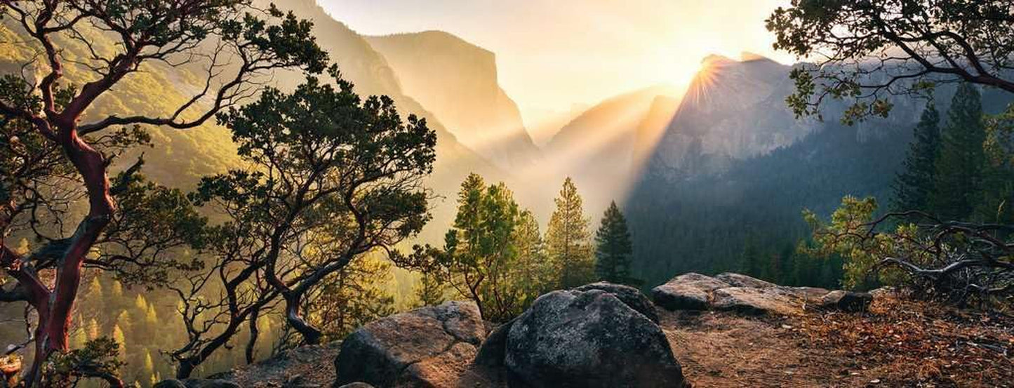 Ravensburger Puzzle 15083 - Yosemite Park - puzzle jigsaw de 1000 de piese pentru adulți și copii de peste 14 ani în format panoramic Puzzle Naty Shop