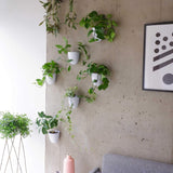 Ghivece de perete cu auto-udare Virgo (Set de 6) - Ușor de udat și instalat - Ușoare - Creează-ți propria grădină verticală - Ghivece de perete pentru plante de interior
