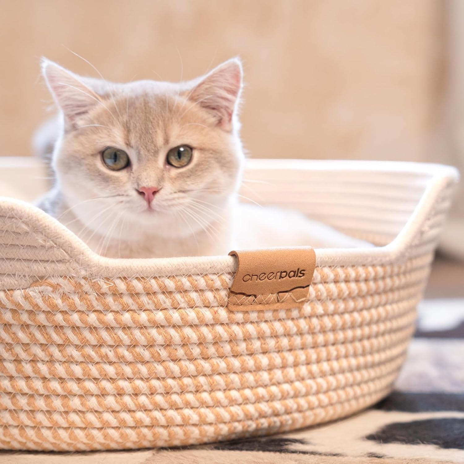 Paturi, cuverturi & mobilier, animale de companie, pisici, paturi pisici, Pisici - culcusuri, saltele
