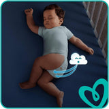 Scutece Pampers 81657566 Baby-Dry Pants, albe