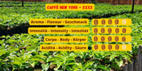 Caffè New York - XXXX - Cafea boabe întregi - 1000g