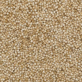 Boabele de quinoa organică Wholefood Earth – 2kg | Crudă | Fără OMG | Vegană | Bogată în fibre | Certificată organică