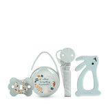 Set cadou Suavinex pentru nou-născuți. Set cu 4 piese, inclusiv: suzetă Physiological SX Pro pentru bebeluși 0-6 luni + suport pentru suzetă + husă pentru suzetă Duo + inel de dentiție din silicon. Wonderland, bej