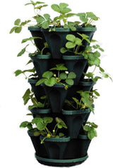 Jardinieră verticală cu 5 niveluri, suprapusă, pentru căpșuni, ierburi aromatice, flori și legume, pentru grădină interioară și exterioară.
