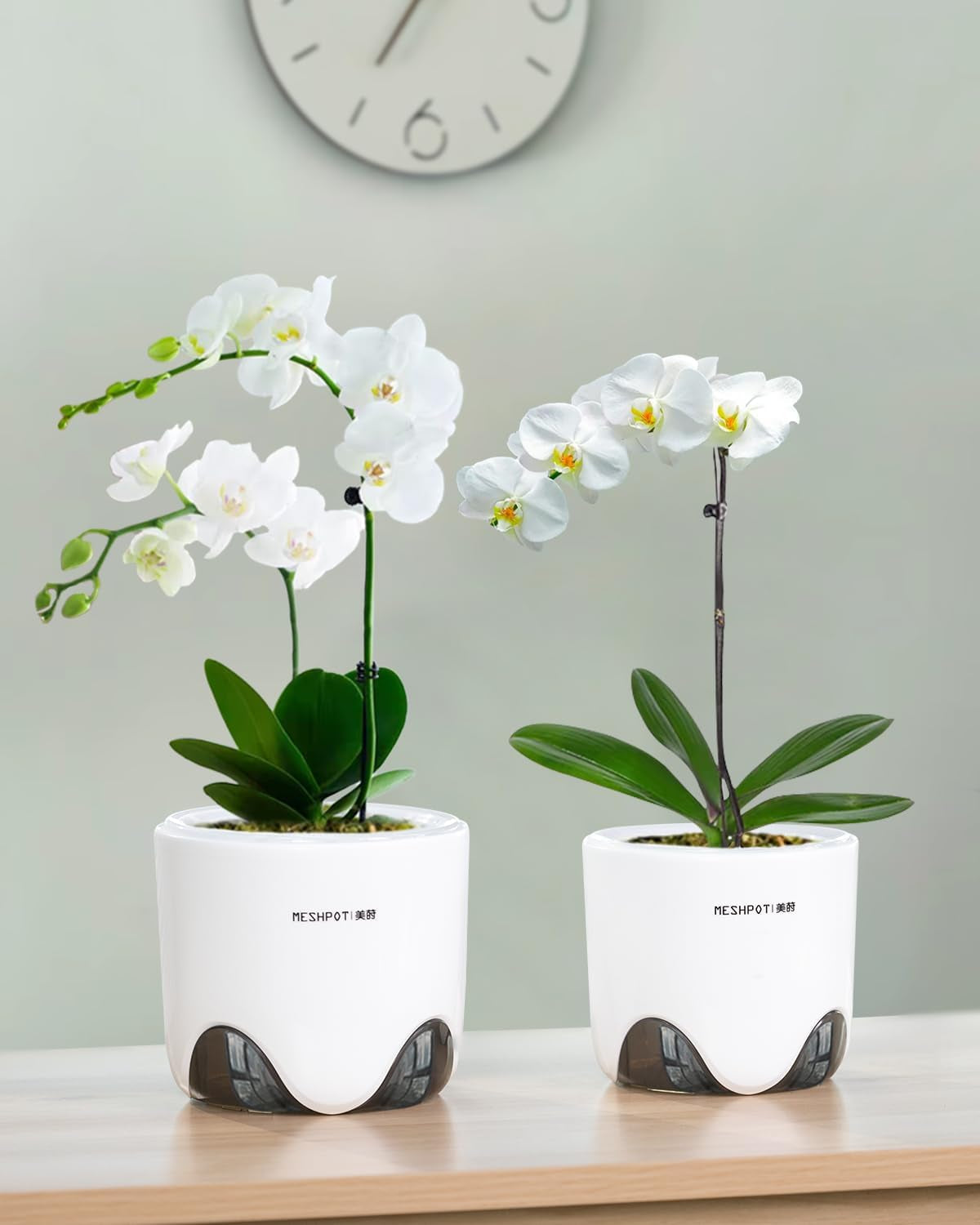 Ghivece pentru orhidee cu găuri de drenaj pentru transplantare, circulație excelentă a aerului, 2 bucăți, plastic cu strat dublu, jardinieră ceramică pentru orhidee, ghiveci transparent pentru orhidee, decorativ