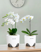 Ghivece pentru orhidee cu găuri de drenaj pentru transplantare, circulație excelentă a aerului, 2 bucăți, plastic cu strat dublu, jardinieră ceramică pentru orhidee, ghiveci transparent pentru orhidee, decorativ