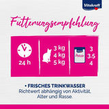 Vitakraft Poésie Délice, Fish Selection, Nassfutter Katze, Katzennassfutter in Sauce, mit Seelachs, mit Kabeljau, ohne Zusatz von Zucker und Getreide (1 Paket mit 6x 85g)