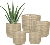 Scheurich Seagrass 17, ghiveci tip coș/ghiveci tip coș din iarbă de mare, culoare: Alb, diametru 17 cm, înălțime 16 cm, volum 3,5 l.