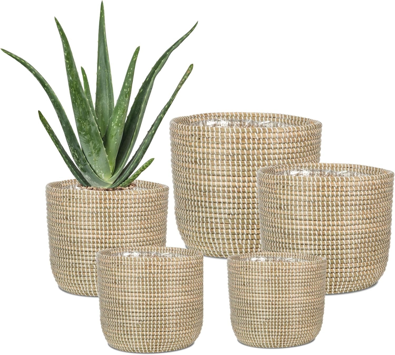 Scheurich Seagrass 17, ghiveci tip coș/ghiveci tip coș din iarbă de mare, culoare: Alb, diametru 17 cm, înălțime 16 cm, volum 3,5 l.