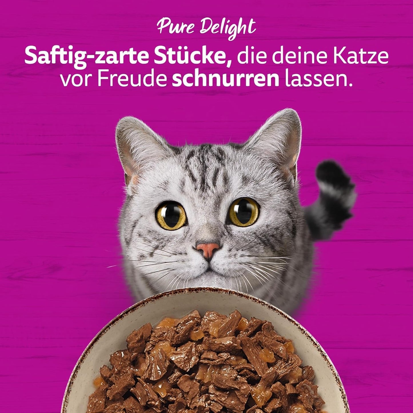 WHISKAS PURE DELIGHT Hrană umedă în jeleu 24 x 85g Ragout clasic (4 pachete) 48 pliculețe porționate