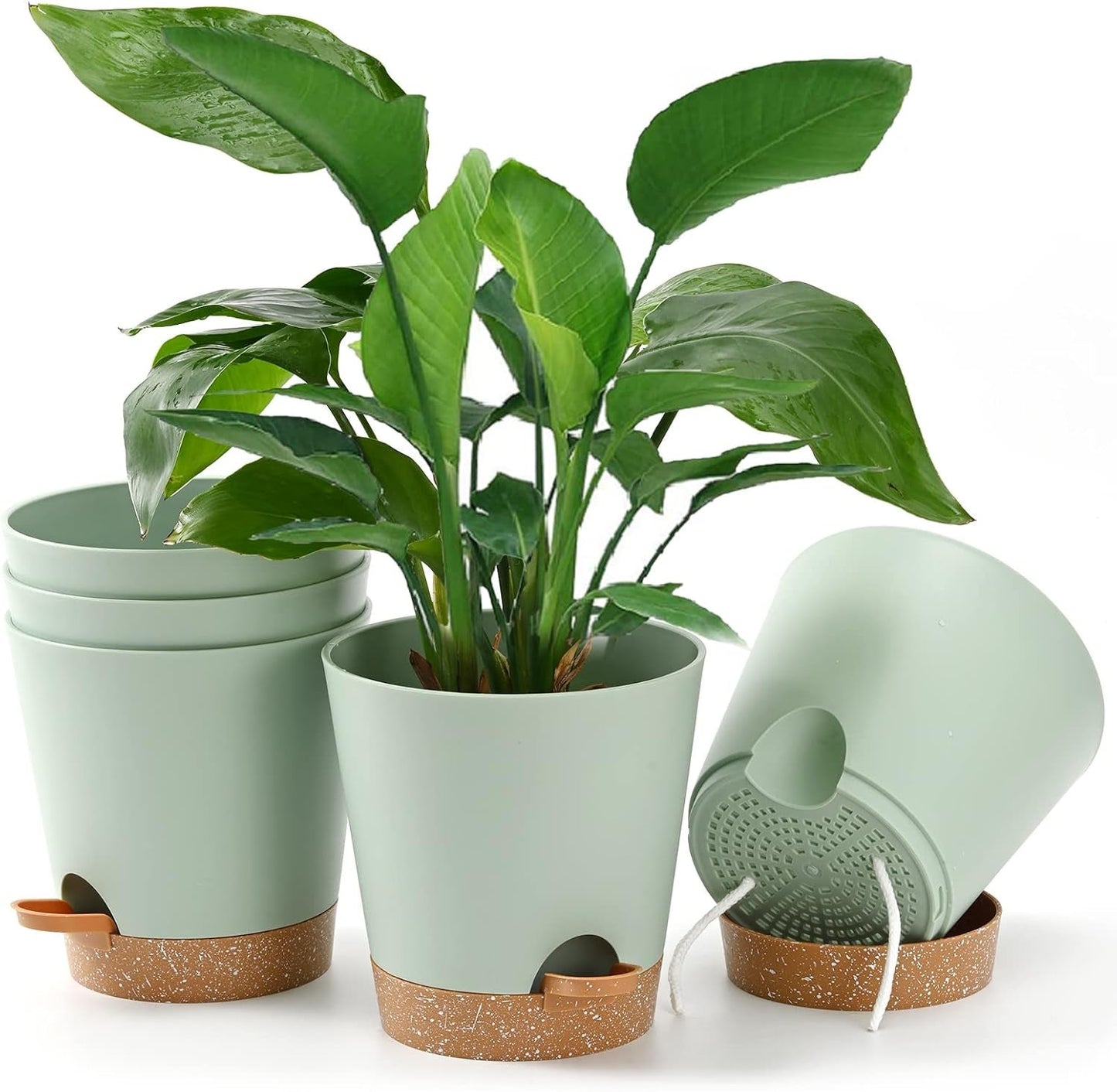 Ghivece de flori, 6 bucăți, 12,7 cm, jardiniere cu auto-udare, drenaj ridicat, ghivece de flori pentru interior și exterior, cu tavă rezervor și margine de udare, jardinieră de grădină, grădină