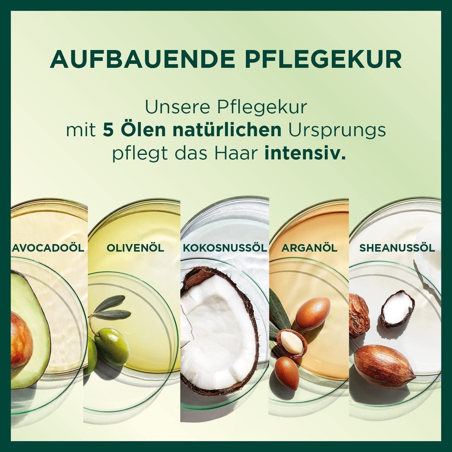 Garnier Nutrisse Permanent Care Hair Colour cu uleiuri hrănitoare din fructe, colorare cu fixare de 8 săptămâni, Ultra Crème Tint, 053 Velvet Brown (pachet de 3) Vopsea pentru par Naty Shop