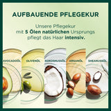 Garnier Nutrisse Permanent Care Hair Colour cu uleiuri hrănitoare din fructe, colorare cu fixare de 8 săptămâni, Ultra Crème Tint, 053 Velvet Brown (pachet de 3) Vopsea pentru par Naty Shop