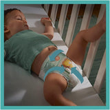 Scutece PAMPERS Baby-DRY mărimea 7 123