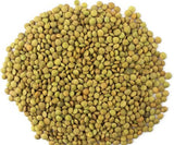 Linte Verde – Varietatea Laird, Pachet de 1 kg | Calitate Premium, Linte Întreagă | Bogate în Proteine și Fibre | Vegane, Fără OMG | Ideale pentru Supe, Salate, Curry și Prepararea Meselor