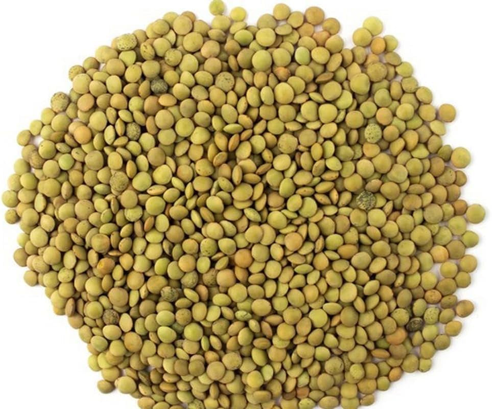 Linte Verde – Varietatea Laird, Pachet de 1 kg | Calitate Premium, Linte Întreagă | Bogate în Proteine și Fibre | Vegane, Fără OMG | Ideale pentru Supe, Salate, Curry și Prepararea Meselor