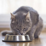 BEAPHAR – Dietă renală cu pui – Hrană completă pentru pisici cu insuficiență renală cronică – Pentru susținerea funcției renale – 100 g
