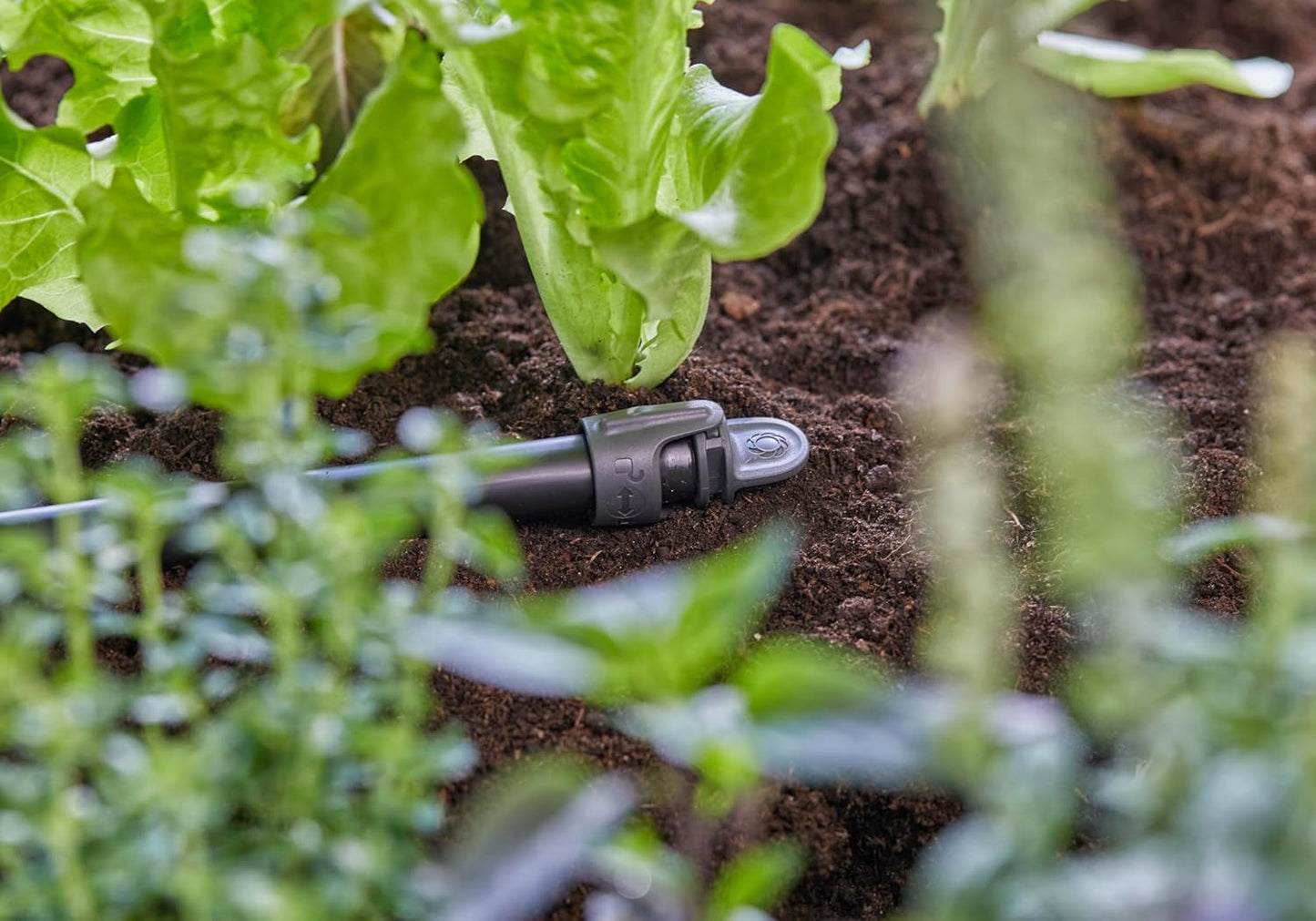 Dop de etanșare Gardena Micro-Drip-System 13 mm (1/2 inch): Închidere practică pentru țevi de 13 mm, Tehnologie de conectare rapidă și ușoară, reutilizabil (13205-20)