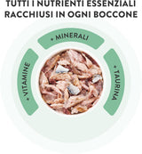 Ton cu somon în jeleu, hrană umedă completă pentru pisici, la conservă, cu vitamine adăugate, 100% naturală, 6 x 85 g