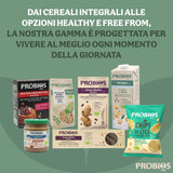 Fulgi de porumb organici ușori 500g la pachet