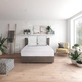 Traumnacht Green Basic Pillow Set format din două perne 80 X 80 Cm, certificat Oeko-Tex, produs în conformitate cu standardul de calitate german Perne standard Naty Shop 80X 80 Cm