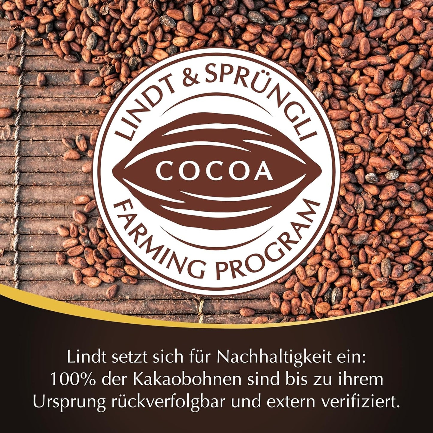 Lindt Ciocolată | Bețișoare LINDOR 60% Cacao | 100g | 4 bețișoare de ciocolată cu ciocolată neagră 60% cacao și umplutură care se topește în gură | Bețișor de ciocolată