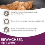 IAMS Delights Land & Sea Collection Hrană umedă pentru pisici - Pachet multiplu cu sortimente de carne și pește în sos, hrană umedă pentru pisici de la 1 an, 72 x 85 g