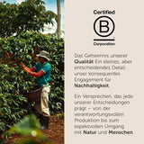 illy, Kompatible Aluminium-Kaffeekapseln CLASSICO, 100 % Arabica mit Noten von Orangenblüten und Jasmin, Sanfter Geschmack und Süßer Nachgeschmack, 10 Packungen mit 10 Kapseln (100 insgesamt)