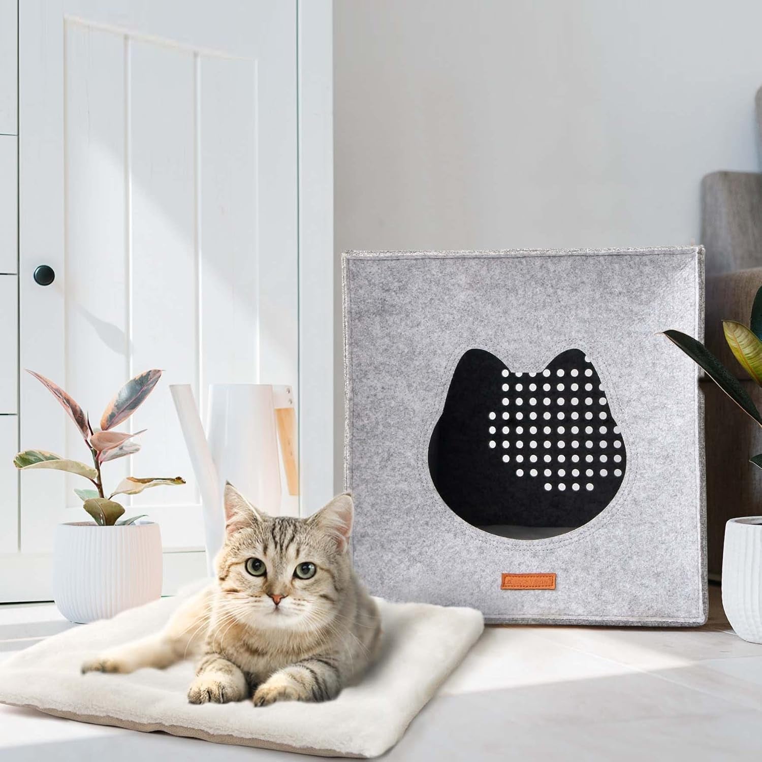 Pături & Mobilier, Animale de companie, Peșteri & Case, Pisici, Paturi pentru pisici, Pisici - culcusuri, saltele