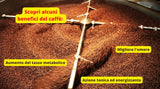 Caffè New York - XXXX - Cafea boabe întregi - 1000g