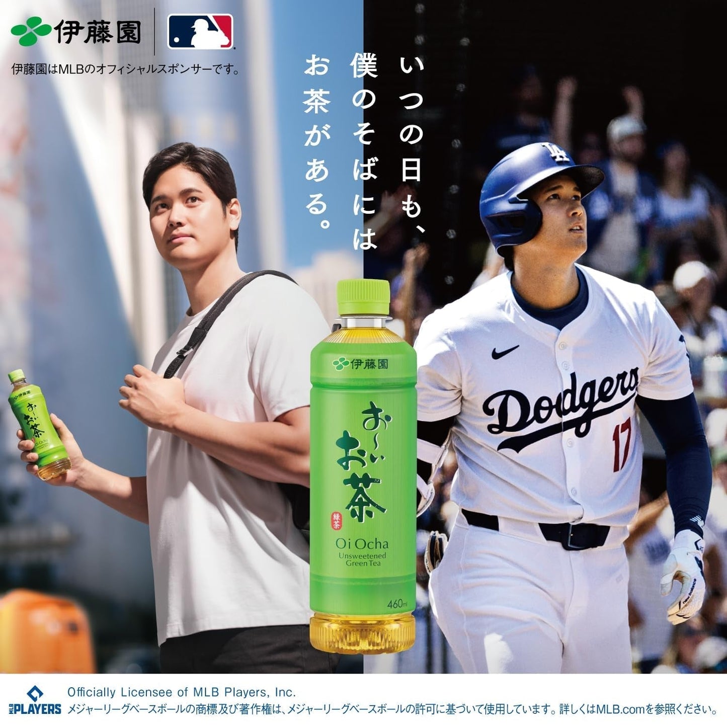 Itoen Premium Tee Bag Green Tea 1,8 g - 50 Peace - Ceai verde - (tip pachet)